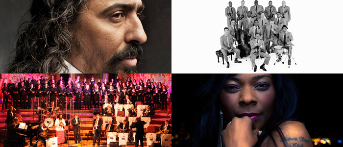 CONCERTS THEPROJECT AL GREC 2013, FESTIVAL DE BARCELONA